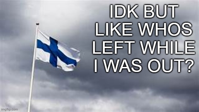 like who left msmg | IDK BUT LIKE WHOS LEFT WHILE I WAS OUT? | image tagged in finland flag | made w/ Imgflip meme maker