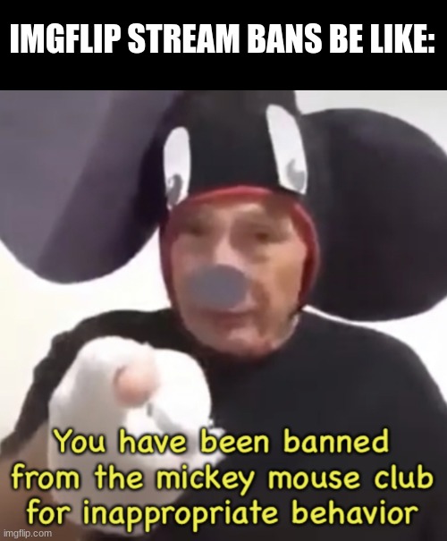 we do a little trolling | IMGFLIP STREAM BANS BE LIKE: | image tagged in banned from the mickey mouse club,mickey mouse,front page plz,you have been eternally cursed for reading the tags | made w/ Imgflip meme maker