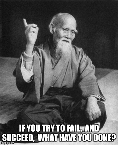 fail | IF YOU TRY TO FAIL,  AND SUCCEED,  WHAT HAVE YOU DONE? | image tagged in wise master | made w/ Imgflip meme maker