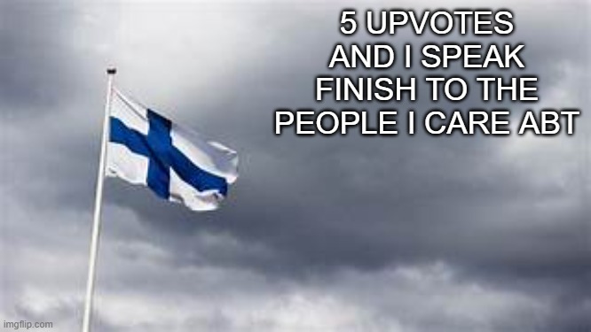 no i will not be making car noises stfu | 5 UPVOTES AND I SPEAK FINISH TO THE PEOPLE I CARE ABT | image tagged in finland flag | made w/ Imgflip meme maker