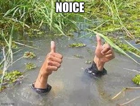 FLOODING THUMBS UP | NOICE | image tagged in flooding thumbs up | made w/ Imgflip meme maker