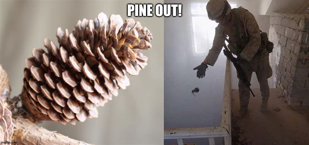 PINE OUT! | PINE OUT! | image tagged in idk | made w/ Imgflip meme maker
