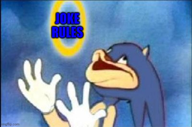 Sonic derp | JOKE RULES | image tagged in sonic derp | made w/ Imgflip meme maker