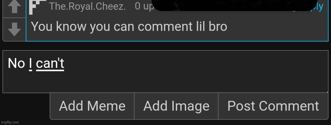 made w/ Imgflip meme maker