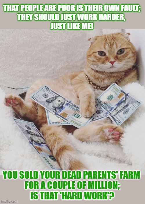 This #lolcat wonders if every rich person actually worked for that money | THAT PEOPLE ARE POOR IS THEIR OWN FAULT;
THEY SHOULD JUST WORK HARDER, 
JUST LIKE ME! YOU SOLD YOUR DEAD PARENTS' FARM 
FOR A COUPLE OF MILLION;
IS THAT 'HARD WORK'? | image tagged in rich people,lolcat,think about it,wealth,poor people | made w/ Imgflip meme maker
