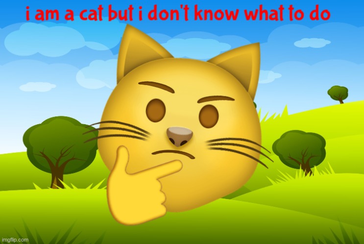 i am a cat but i don't know what to do | image tagged in emoji template | made w/ Imgflip meme maker