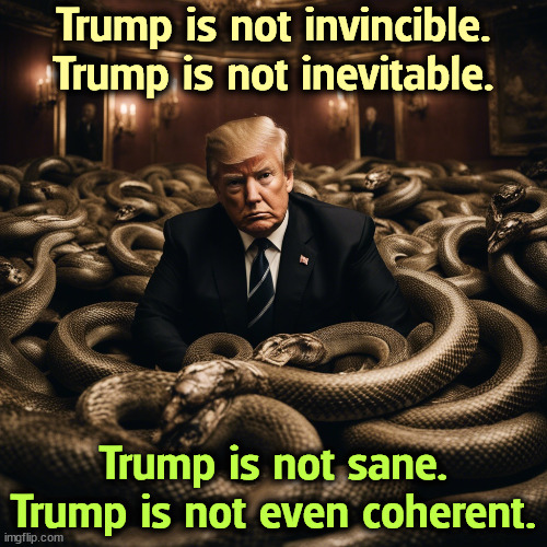 Trump is not invincible.
Trump is not inevitable. Trump is not sane.
Trump is not even coherent. | image tagged in trump,failing,snakes,invincible,i am inevitable,insane | made w/ Imgflip meme maker