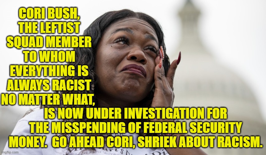 One by one, leftist scum-buckets are getting busted.  I bet A.O.C. is worried. | CORI BUSH, THE LEFTIST SQUAD MEMBER TO WHOM EVERYTHING IS ALWAYS RACIST NO MATTER WHAT, IS NOW UNDER INVESTIGATION FOR THE MISSPENDING OF FEDERAL SECURITY MONEY.  GO AHEAD CORI, SHRIEK ABOUT RACISM. | image tagged in yep | made w/ Imgflip meme maker