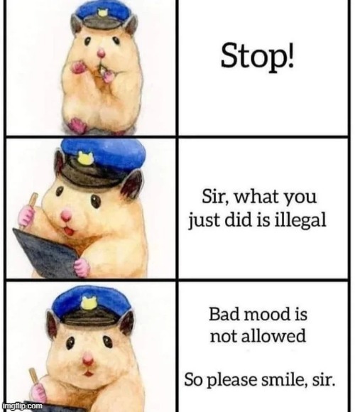 No Bad mood allowed | image tagged in no bad mood allowed | made w/ Imgflip meme maker