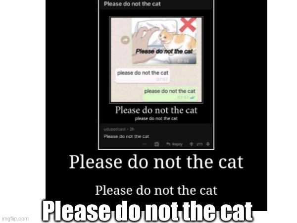 Please do not the cat | Please do not the cat | image tagged in please do not the cat | made w/ Imgflip meme maker