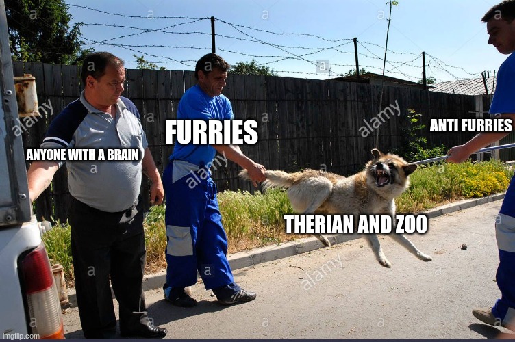 dog catcher | FURRIES THERIAN AND ZOO ANTI FURRIES ANYONE WITH A BRAIN | image tagged in dog catcher | made w/ Imgflip meme maker