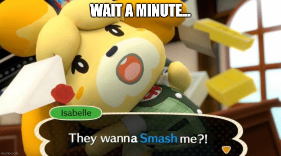 They wanna Smash me?! | WAIT A MINUTE... | image tagged in they wanna smash me,animal crossing | made w/ Imgflip meme maker