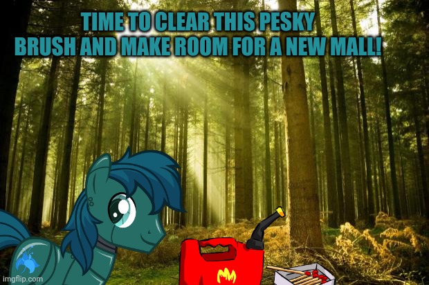sunlit forest | TIME TO CLEAR THIS PESKY BRUSH AND MAKE ROOM FOR A NEW MALL! | image tagged in sunlit forest | made w/ Imgflip meme maker