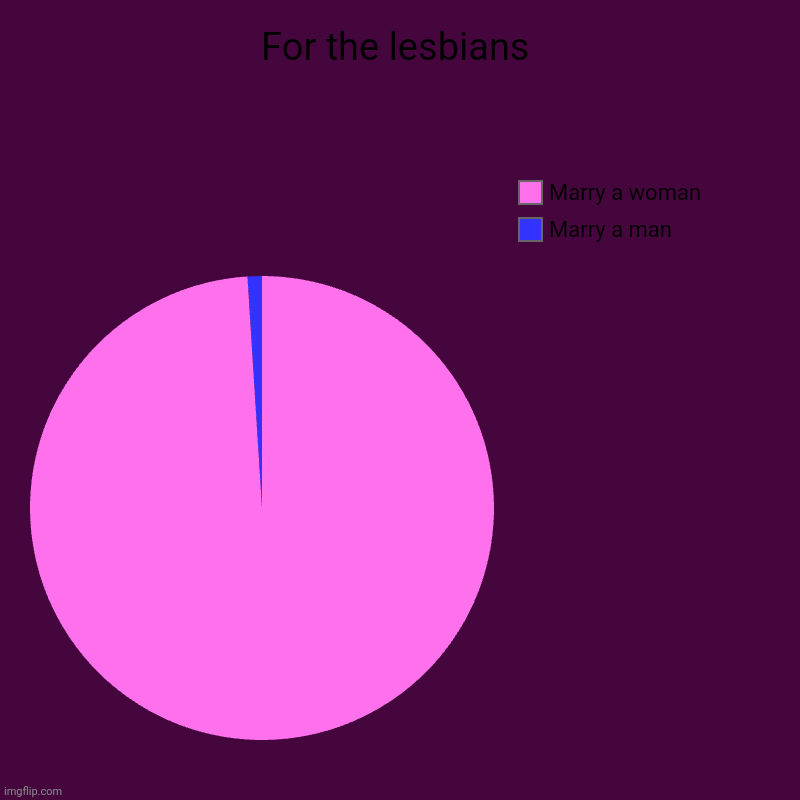 For the lesbians | Marry a man, Marry a woman | image tagged in charts,pie charts | made w/ Imgflip chart maker