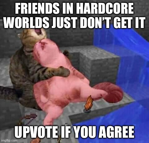 they just never understand that they can’t respawn until they see there is no respawn button | FRIENDS IN HARDCORE WORLDS JUST DON’T GET IT; UPVOTE IF YOU AGREE | image tagged in dead minecraft cat meme | made w/ Imgflip meme maker