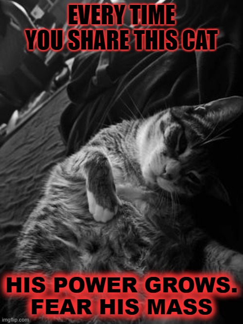 His Power Grows | EVERY TIME YOU SHARE THIS CAT; HIS POWER GROWS.
FEAR HIS MASS | image tagged in cat,cthulu,evil | made w/ Imgflip meme maker