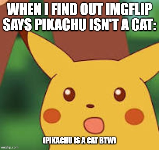 Pikachu is a Cat | WHEN I FIND OUT IMGFLIP SAYS PIKACHU ISN'T A CAT:; (PIKACHU IS A CAT BTW) | image tagged in pikachu is,a cat,if i,say it is | made w/ Imgflip meme maker