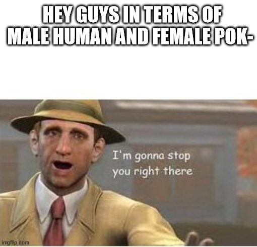 im going to stop you right there | HEY GUYS IN TERMS OF MALE HUMAN AND FEMALE POK- | image tagged in im going to stop you right there | made w/ Imgflip meme maker
