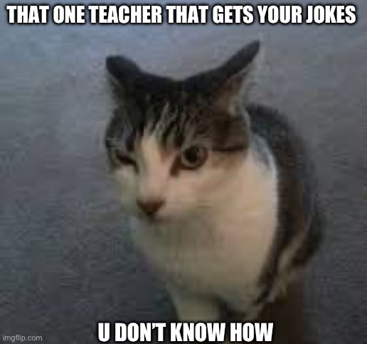 It’s happened before | THAT ONE TEACHER THAT GETS YOUR JOKES; U DON’T KNOW HOW | image tagged in lol | made w/ Imgflip meme maker