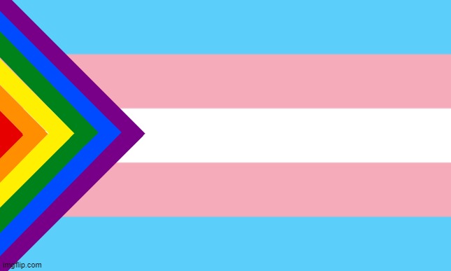 flag | image tagged in gay pride flag,tired of hearing about transgenders,transgender,lgbt,political meme | made w/ Imgflip meme maker