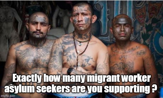 Exactly how many migrant worker asylum seekers are you supporting ? | made w/ Imgflip meme maker