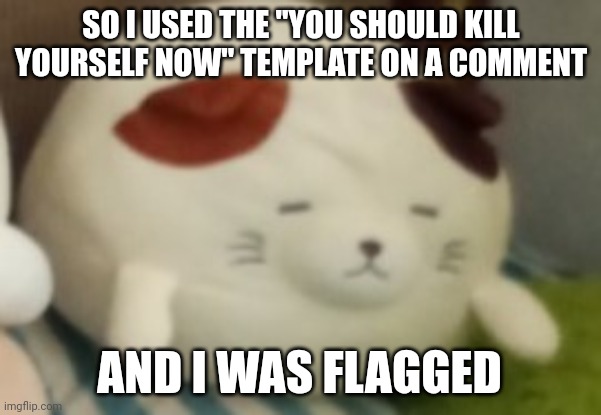 Cappuccino | SO I USED THE "YOU SHOULD KILL YOURSELF NOW" TEMPLATE ON A COMMENT; AND I WAS FLAGGED | image tagged in cappuccino | made w/ Imgflip meme maker