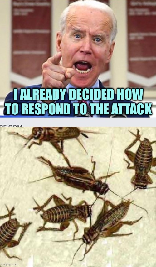 I ALREADY DECIDED HOW TO RESPOND TO THE ATTACK | image tagged in joe biden no malarkey,crickets,memes | made w/ Imgflip meme maker