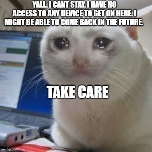Crying cat | YALL. I CANT STAY, I HAVE NO ACCESS TO ANY DEVICE TO GET ON HERE. I MIGHT BE ABLE TO COME BACK IN THE FUTURE. TAKE CARE | image tagged in crying cat | made w/ Imgflip meme maker