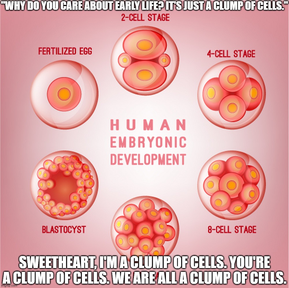 Everybody is a Clump of Cells | "WHY DO YOU CARE ABOUT EARLY LIFE? IT'S JUST A CLUMP OF CELLS."; SWEETHEART, I'M A CLUMP OF CELLS. YOU'RE A CLUMP OF CELLS. WE ARE ALL A CLUMP OF CELLS. | image tagged in human embryonic development,abortion,clump of cells,embryo | made w/ Imgflip meme maker