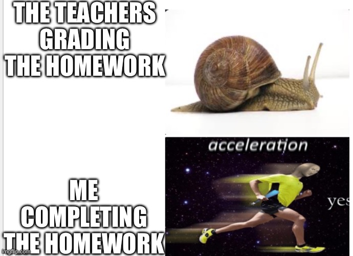 Snail, Acceleration yes | THE TEACHERS GRADING THE HOMEWORK ME COMPLETING THE HOMEWORK | image tagged in snail acceleration yes | made w/ Imgflip meme maker