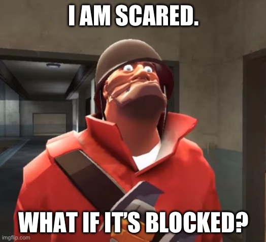 I am scared you maggots | I AM SCARED. WHAT IF IT’S BLOCKED? | image tagged in i am scared you maggots | made w/ Imgflip meme maker
