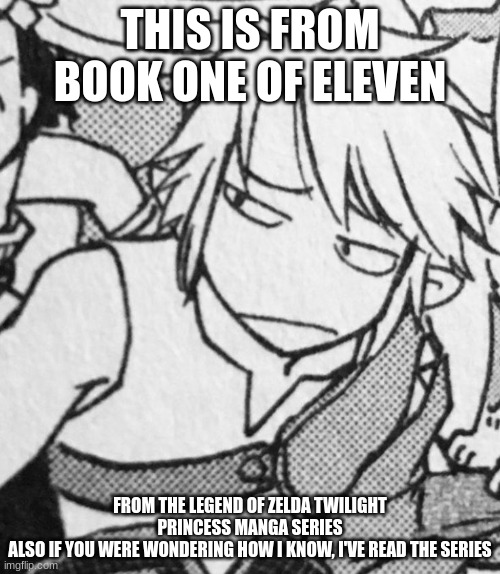 Disappointed Link | THIS IS FROM BOOK ONE OF ELEVEN; FROM THE LEGEND OF ZELDA TWILIGHT PRINCESS MANGA SERIES
ALSO IF YOU WERE WONDERING HOW I KNOW, I'VE READ THE SERIES | image tagged in disappointed link | made w/ Imgflip meme maker