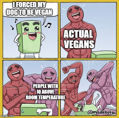 Green Rectangle Beaten Up | I FORCED MY DOG TO BE VEGAN; ACTUAL 
VEGANS; PEOPLE WITH IQ ABOVE ROOM TEMPERATURE | image tagged in green rectangle beaten up,memes,vegans | made w/ Imgflip meme maker