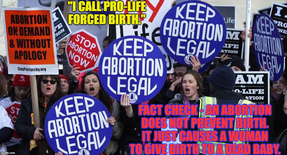 Abortion Births a Dead Baby | "I CALL PRO-LIFE FORCED BIRTH."; FACT CHECK - AN ABORTION DOES NOT PREVENT BIRTH. IT JUST CAUSES A WOMAN TO GIVE BIRTH TO A DEAD BABY. | image tagged in pro-abortion,dead baby,murder,abortion | made w/ Imgflip meme maker