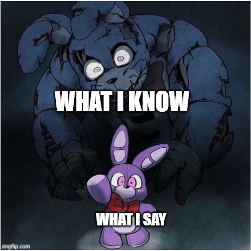 Bonnie plush | WHAT I KNOW WHAT I SAY | image tagged in bonnie plush | made w/ Imgflip meme maker
