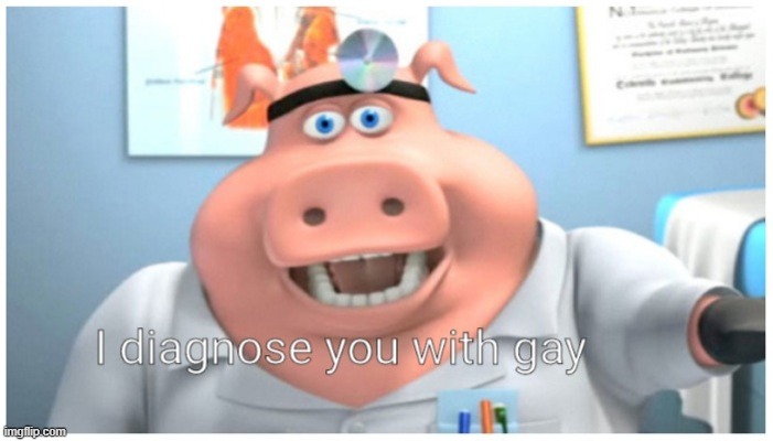 I diagnose you with gay | image tagged in i diagnose you with gay | made w/ Imgflip meme maker