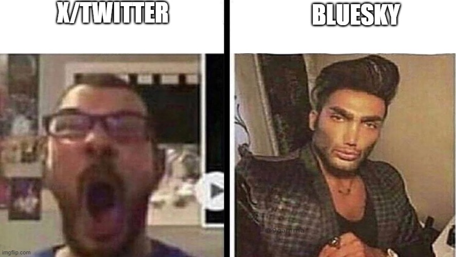 virgin vs chad | X/TWITTER BLUESKY | image tagged in virgin vs chad | made w/ Imgflip meme maker
