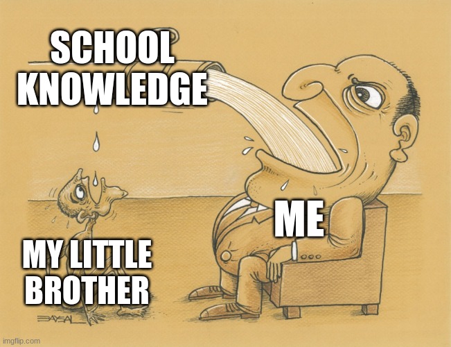 Guy who has lots of water | SCHOOL KNOWLEDGE; ME; MY LITTLE BROTHER | image tagged in guy who has lots of water | made w/ Imgflip meme maker