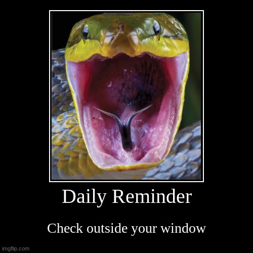 Daily Reminder | Check outside your window | image tagged in funny,demotivationals | made w/ Imgflip demotivational maker