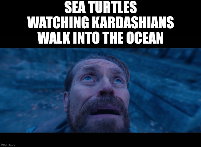 . | SEA TURTLES WATCHING KARDASHIANS WALK INTO THE OCEAN | made w/ Imgflip meme maker