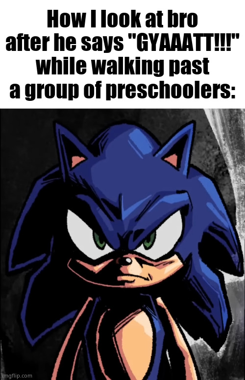 sonic staring at you | How I look at bro after he says "GYAAATT!!!" while walking past a group of preschoolers: | image tagged in sonic staring at you | made w/ Imgflip meme maker