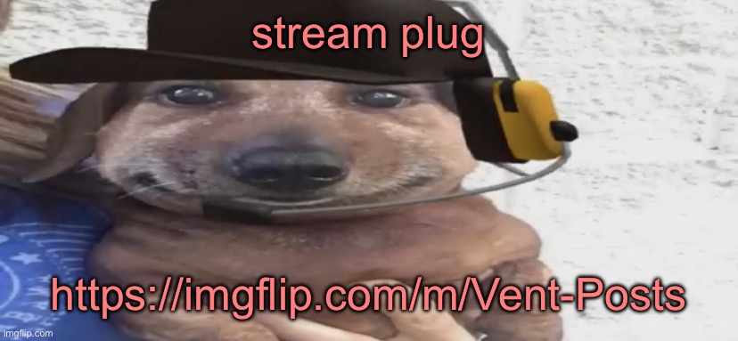 a place where you can vent your feelings and people will help you with them | stream plug; https://imgflip.com/m/Vent-Posts | image tagged in chucklenuts | made w/ Imgflip meme maker