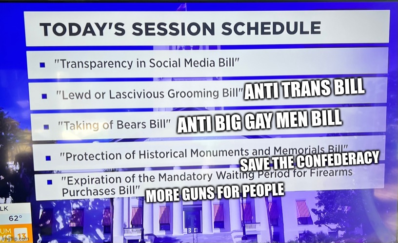 Florida working for the people | ANTI TRANS BILL; ANTI BIG GAY MEN BILL; SAVE THE CONFEDERACY; MORE GUNS FOR PEOPLE | image tagged in gay,transgender,bear,confederate flag,gun control | made w/ Imgflip meme maker