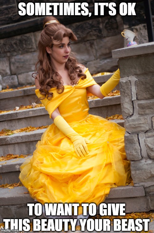 Ring that Belle | SOMETIMES, IT'S OK; TO WANT TO GIVE THIS BEAUTY YOUR BEAST | image tagged in sex jokes | made w/ Imgflip meme maker