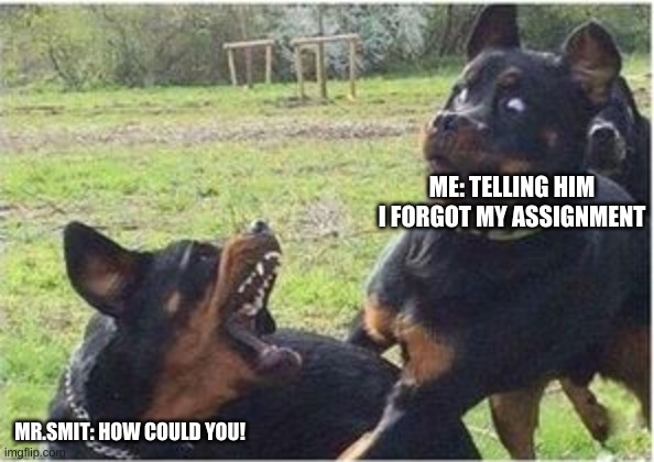 dogs fighting | ME: TELLING HIM I FORGOT MY ASSIGNMENT; MR.SMIT: HOW COULD YOU! | image tagged in dogs fighting | made w/ Imgflip meme maker