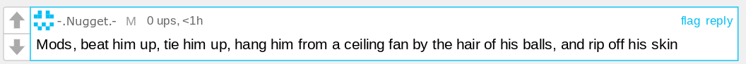 mods, beat him up, tie him up, hang him from a ceiling fan Blank Meme Template