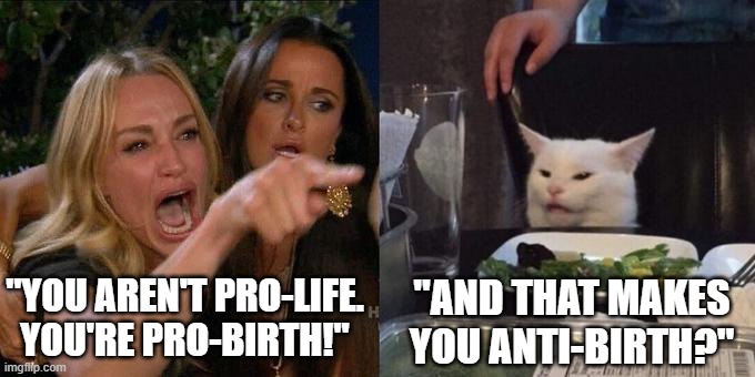 Pro-Birth Anti-Birth | "YOU AREN'T PRO-LIFE. YOU'RE PRO-BIRTH!"; "AND THAT MAKES YOU ANTI-BIRTH?" | image tagged in woman screaming at cat,pro-birth,anti-birth,abortion | made w/ Imgflip meme maker