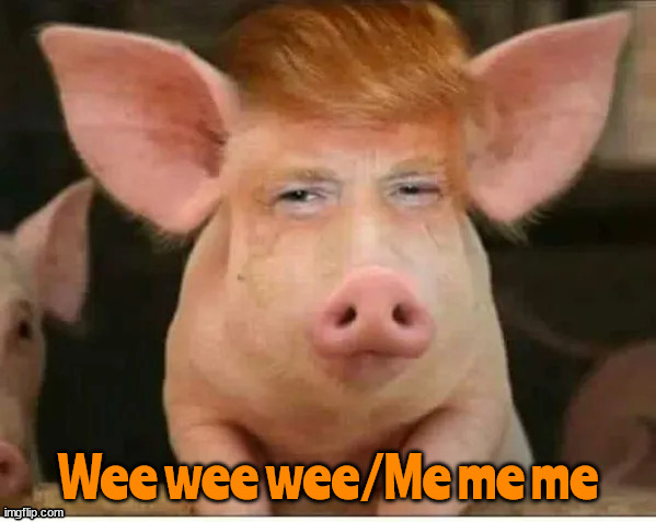 Oink | Wee wee wee/Me me me | image tagged in oink,pig,wee wee wee,me,chavanist,maga | made w/ Imgflip meme maker