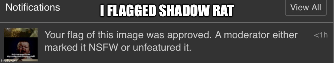 I FLAGGED SHADOW RAT | made w/ Imgflip meme maker