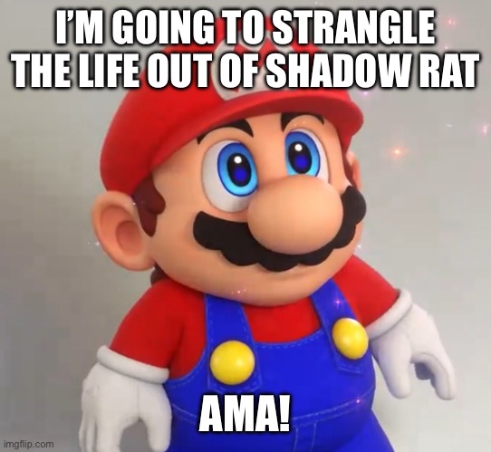 RPG Mario | I’M GOING TO STRANGLE THE LIFE OUT OF SHADOW RAT; AMA! | image tagged in rpg mario | made w/ Imgflip meme maker